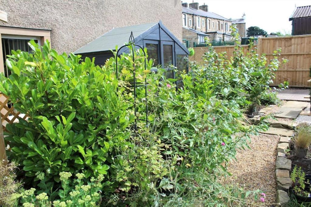 Caterpillar Cottage, Tucked Away In Holiday home *